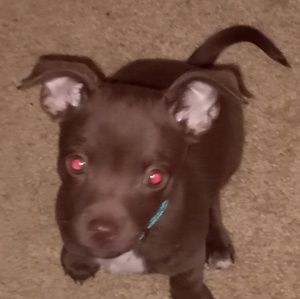 Meet your Posher, June